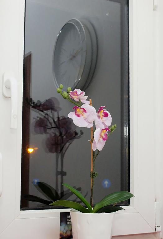 شقة بوخارست  في Fancy 1Bd Family Friendly In Historical Centre المظهر الخارجي الصورة